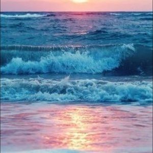 Meet your Posher, Shelly